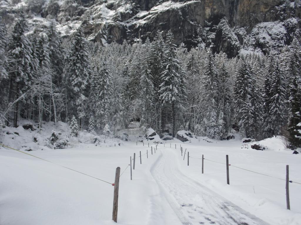 Appartment Chalet Sonnenheim Kandersteg Εξωτερικό φωτογραφία