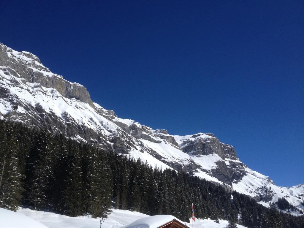 Appartment Chalet Sonnenheim Kandersteg Εξωτερικό φωτογραφία