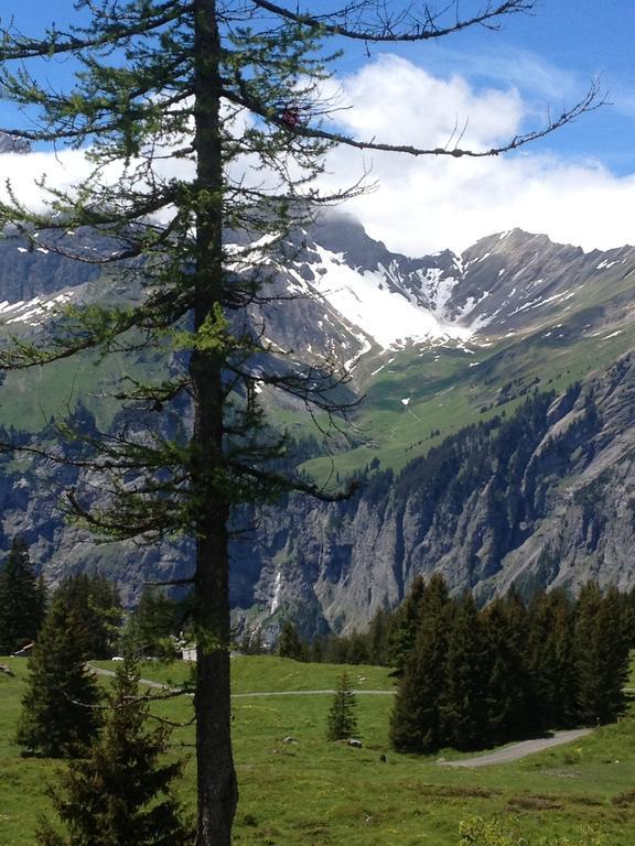 Appartment Chalet Sonnenheim Kandersteg Εξωτερικό φωτογραφία