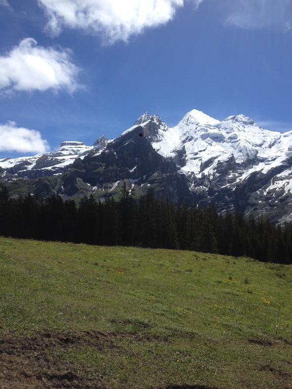Appartment Chalet Sonnenheim Kandersteg Εξωτερικό φωτογραφία